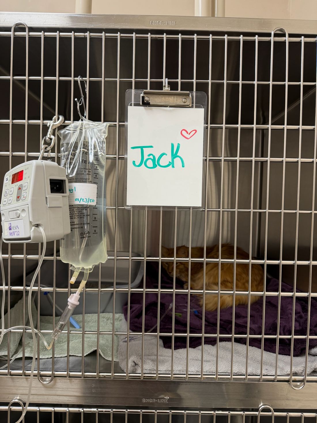 Jack's hospital cage with his name and a hand drawn heart on the card, and a fluid pump running