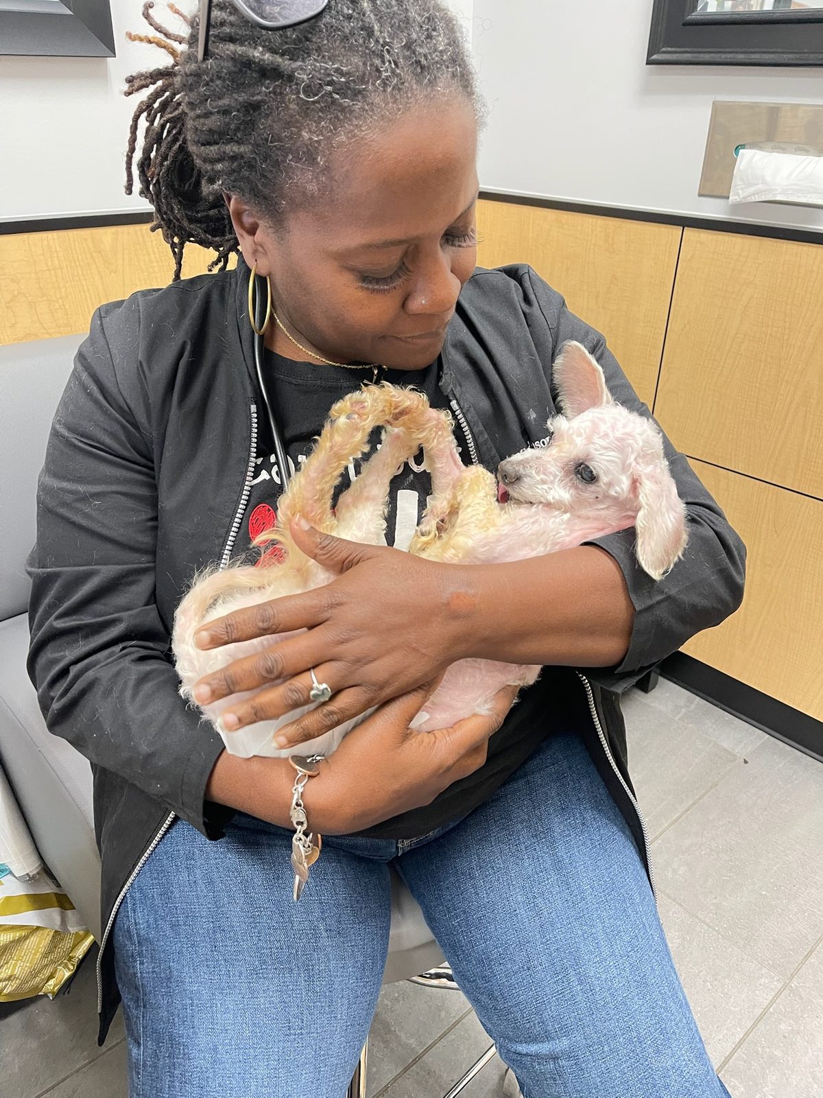 LL Cool Fluffy cradled in Dr. Atkinson-Spinks's arms at the clinic
