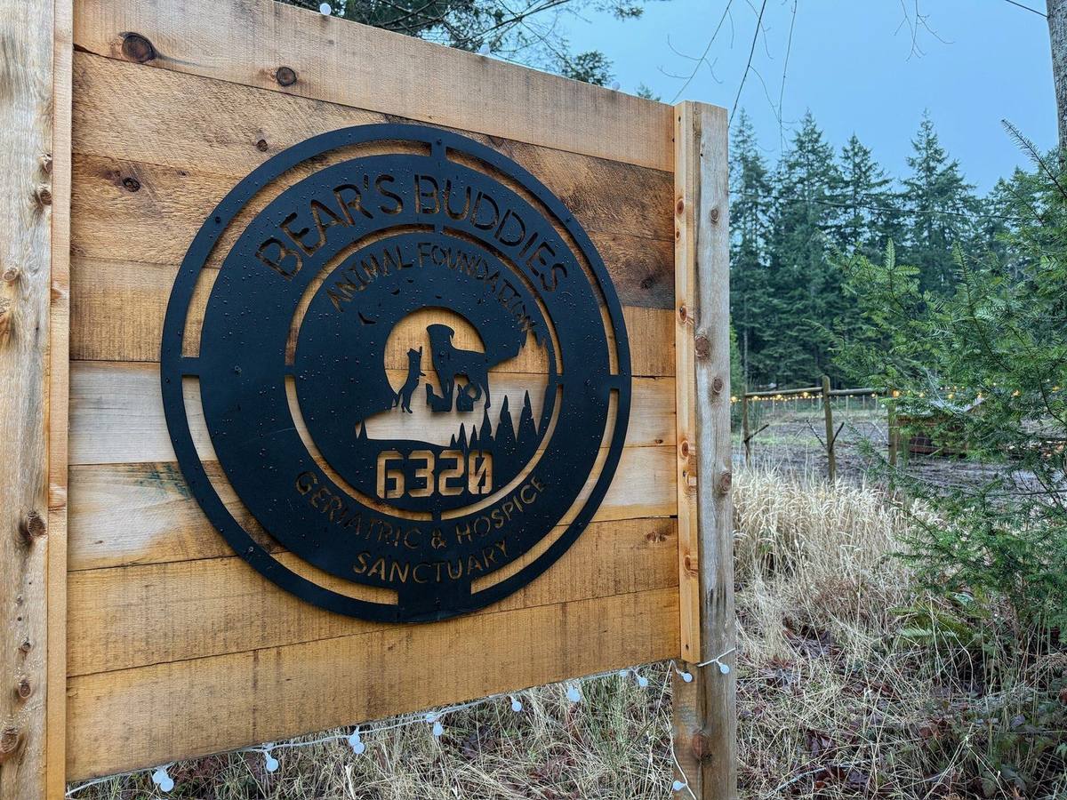 The Bear's Buddies Animal Foundation sign at the entrance to the property, with forest behind it