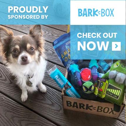 Bear's Buddies Sanctuary's Sponsor