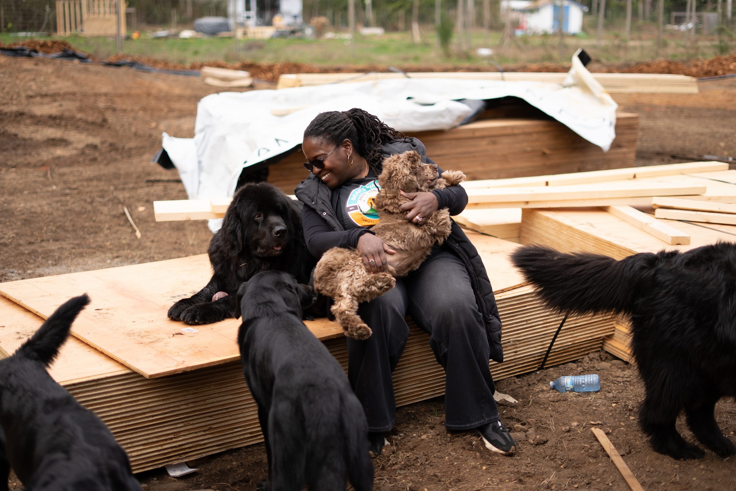 260414_Bears_buddies_building-2